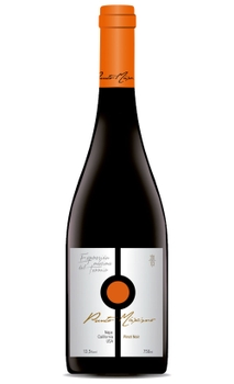 Vinho Punto Maximo Gran Reserva Pinot Noir 750ml