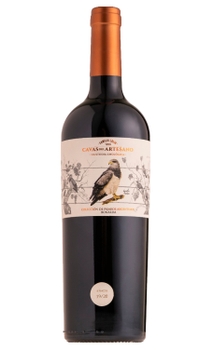 Vinho Cavas del Artesano Bonarda 750ml