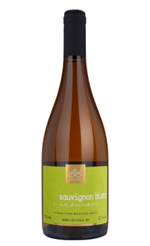 Vinho Arte Viva Sinonimos Sauvignon Blanc 750ml