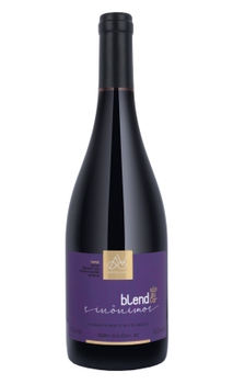 Vinho Arte Viva Sinonimos Blend Singular 750ml