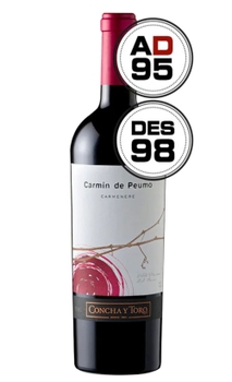 Vinho Concha y Toro Carmin De Peumo Carmenere 750ml