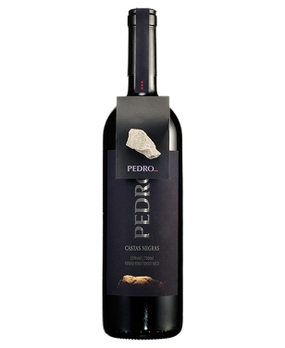 Vinho Zanella Pedro Castas Negras 750ml