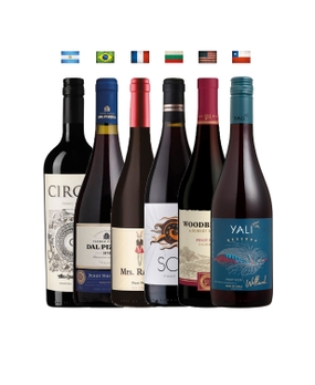 Combo Pinot Mundo (6 garrafas)