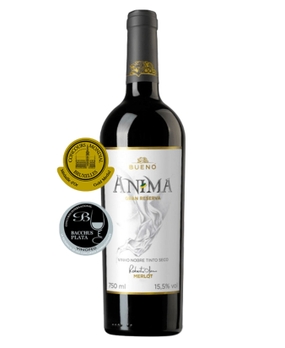 Vinho Bueno Gran Reserva Anima 2015 750ml