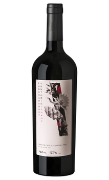 Vinho Casa Venturini Cabernet Franc 750ml