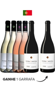 Combo Pague 5 Leve 6 Pedra Cancela (6 garrafas)