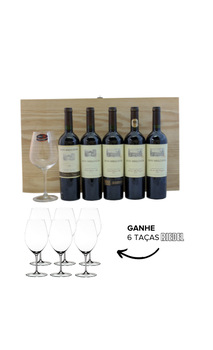 Combo Vertical Don Melchor 2008 | 2013 | 2017 | 2018 | 2019 (5 garrafas) + 6 Taças Riedel