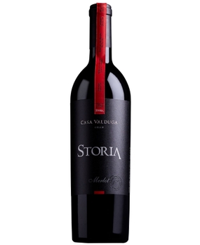 Vinho Valduga Storia Gran Reserva Merlot 2018 750ml com Cartucho