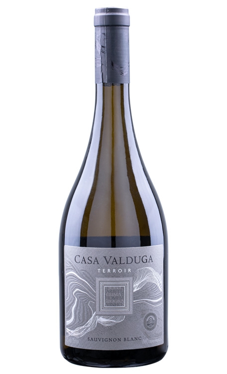 Vinho Valduga Terroir Sauvignon Blanc 750ml 