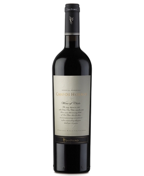Vinho San Pedro Cabo de Hornos Cabernet Sauvignon 