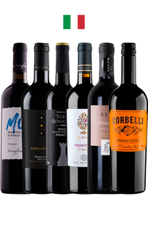 Combo Primitivo (6 garrafas)