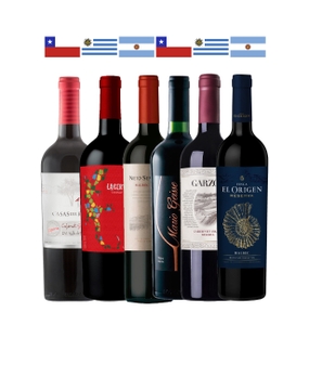 Combo Sul Americanos (6 garrafas)