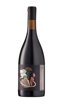 Vinho Marzarotto Gran Reserva Cabernet Franc 750ml