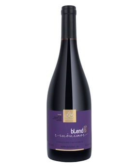 Vinho Arte Viva Sinonimos Blend Singular 750ml