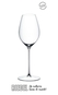  Taça Superleggero  Champagne Wine Glass