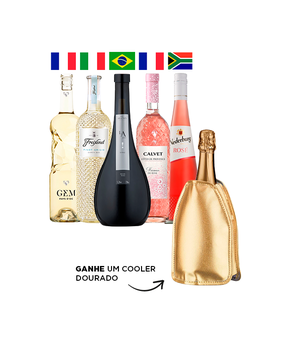 Combo Para Beber e Admirar (5 garrafas) + Cooler Térmico Boccati