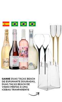 Combo Fresh I (4 garrafas) + Taças + Ice Bag