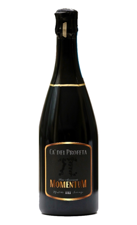 Vinho Ca' Del Profeta Momentum Brachetto 750ml
