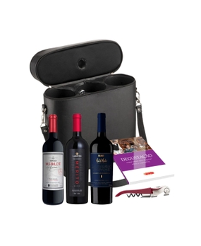 Combo Ícones Gaúchos (3 garrafas)