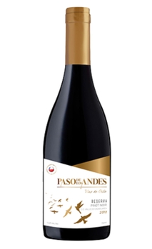 Vinho Paso de Los Andes Reserva Pinot Noir 750ml