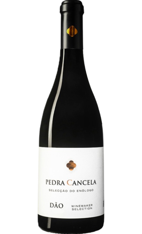 Vinho Pedra Cancela Seleção do Enólogo Tinto Magnum 1,5L