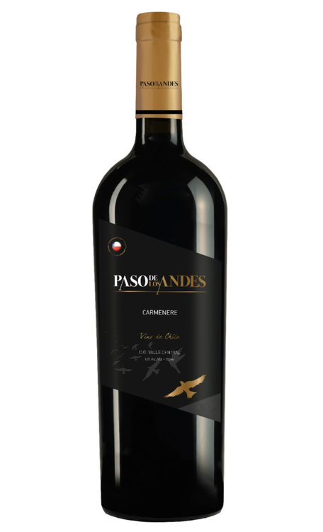 Vinho Paso de Los Andes Carménère 750ml