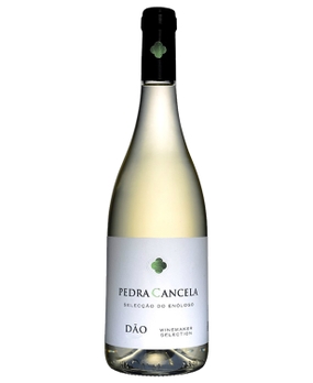 Vinho Pedra Cancela Seleção do Enólogo Branco 750ml
