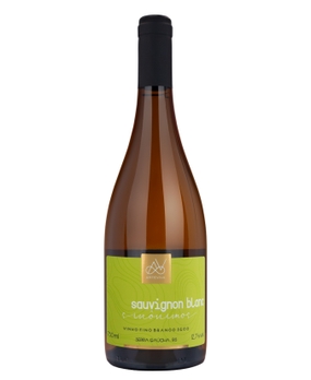 Vinho Arte Viva Sinonimos Sauvignon Blanc 750ml