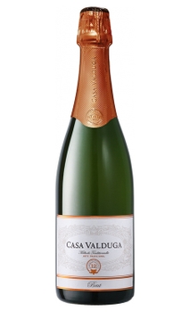 Espumante Casa Valduga Arte Brut 750ml