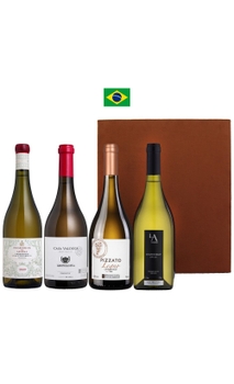 Combo Chardonnays Barricados Safra 2020 (4 garrafas)