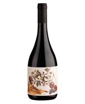 Vinho Casa Eva Pinot Noir 750ml