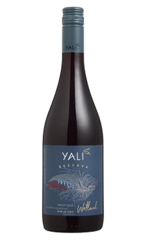 Vinho Ventisquero Yali Wetland Reserva Pinot Noir 750ml