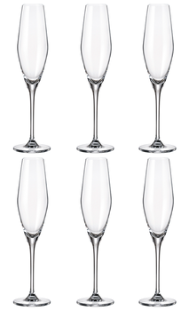 Conjunto 6 Taças de Cristal Ecológico Bohemia Loxia para Espumante 210ml