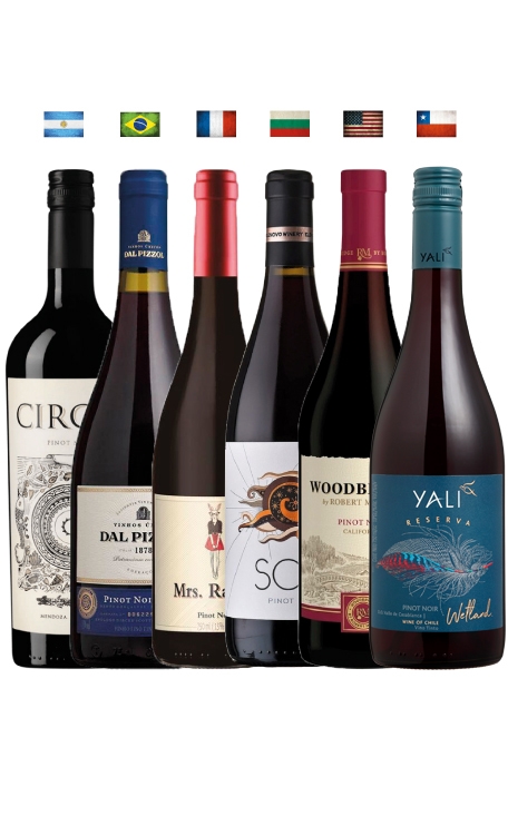Combo Pinot Mundo (6 garrafas)