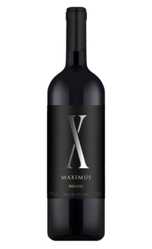 Vinho Panizzon Maximus 750ml