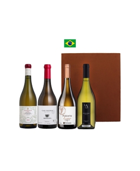 Combo Chardonnays Barricados Safra 2020 (4 garrafas)