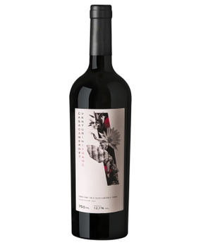 Vinho Casa Venturini Cabernet Franc 750ml